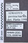 Etiketten zu Adrastus protractus (NHMW-ZOO-COL-0008746)